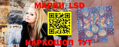 гидра Шебекино