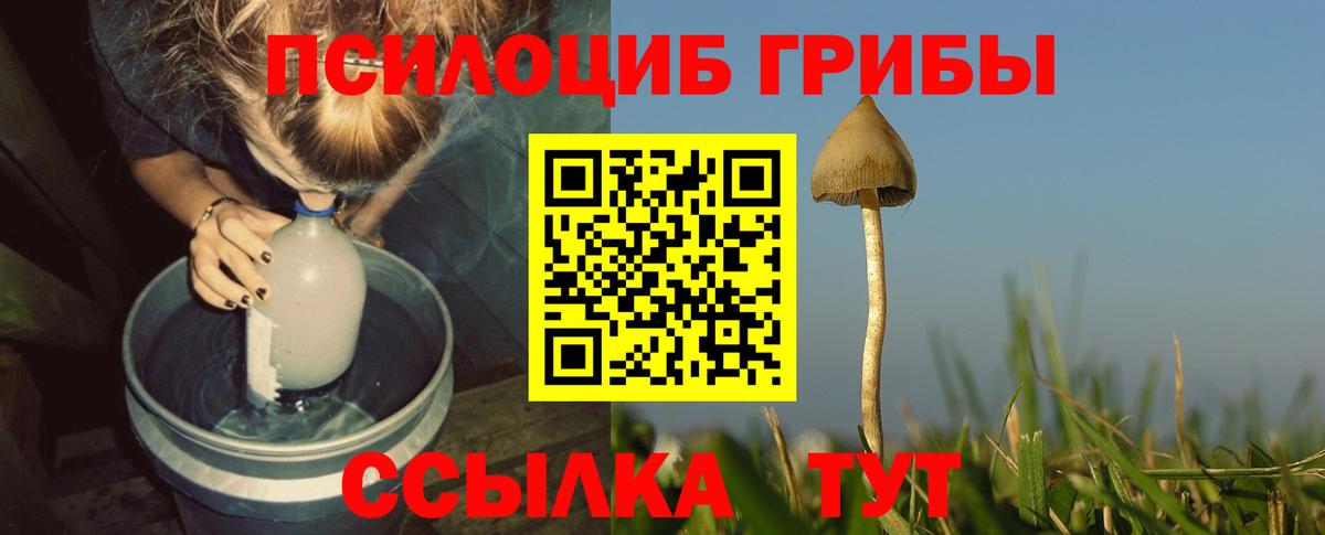 Галлюциногенные грибы Psilocybine cubensis  Вход с VPN  Магнитогорск 